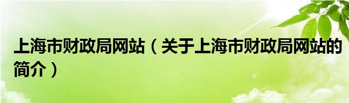 上海市財(cái)政局網(wǎng)站（關(guān)于上海市財(cái)政局網(wǎng)站的簡(jiǎn)介）