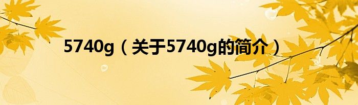 5740g（關(guān)于5740g的簡介）