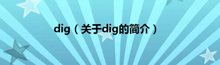 dig（關(guān)于dig的簡介）