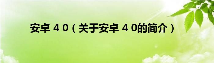 安卓 4 0（關(guān)于安卓 4 0的簡介）