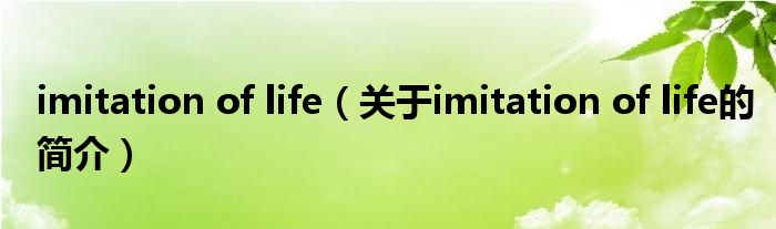 imitation of life（關于imitation of life的簡介）