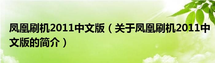 鳳凰刷機(jī)2011中文版（關(guān)于鳳凰刷機(jī)2011中文版的簡介）