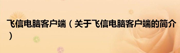 飛信電腦客戶端（關(guān)于飛信電腦客戶端的簡(jiǎn)介）