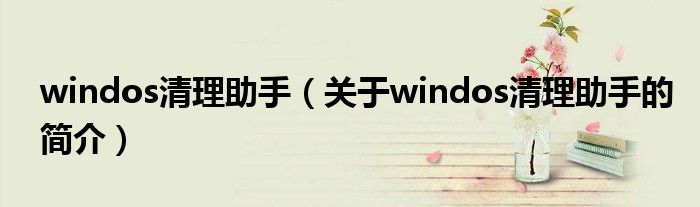 windos清理助手（關(guān)于windos清理助手的簡介）