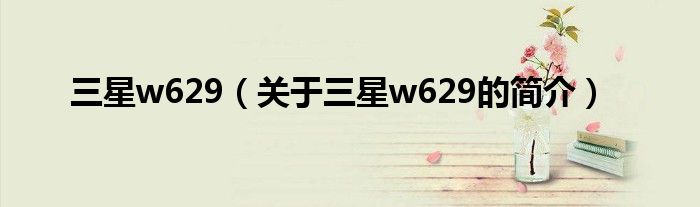 三星w629（關于三星w629的簡介）