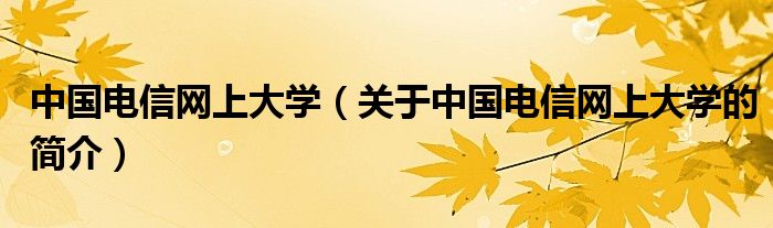 中國電信網(wǎng)上大學(xué)（關(guān)于中國電信網(wǎng)上大學(xué)的簡介）