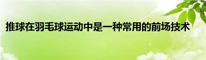 推球在羽毛球運(yùn)動(dòng)中是一種常用的前場技術(shù)