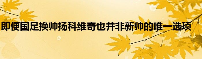 即便國足換帥揚科維奇也并非新帥的唯一選項