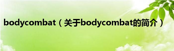 bodycombat（關(guān)于bodycombat的簡介）