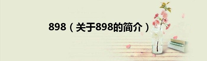 898（關(guān)于898的簡(jiǎn)介）