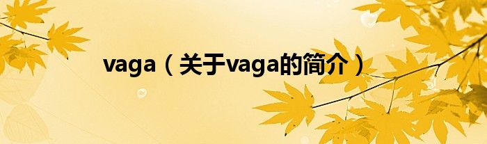 vaga（關(guān)于vaga的簡(jiǎn)介）