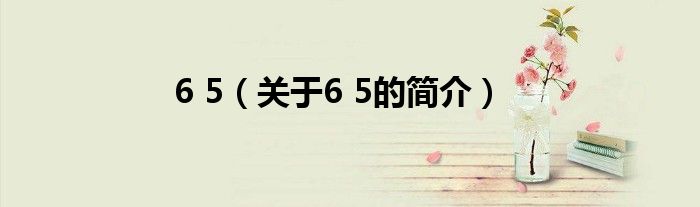 6 5（關(guān)于6 5的簡(jiǎn)介）