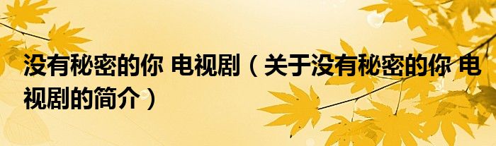 沒有秘密的你 電視劇（關(guān)于沒有秘密的你 電視劇的簡(jiǎn)介）