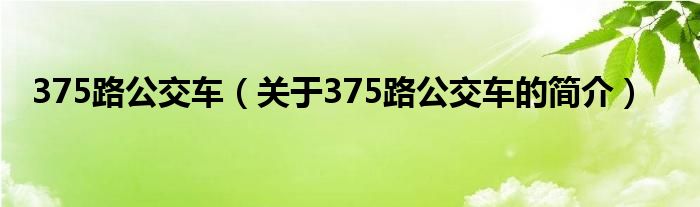 375路公交車（關于375路公交車的簡介）