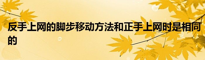 反手上網(wǎng)的腳步移動(dòng)方法和正手上網(wǎng)時(shí)是相同的