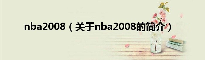 nba2008（關(guān)于nba2008的簡介）