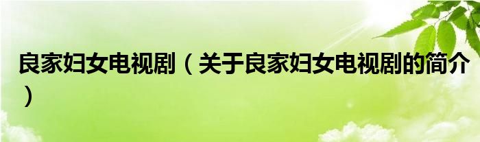 良家婦女電視?。P(guān)于良家婦女電視劇的簡(jiǎn)介）