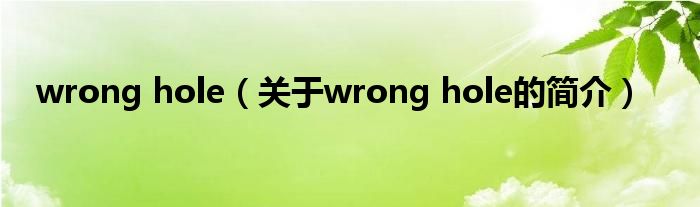 wrong hole（關(guān)于wrong hole的簡介）