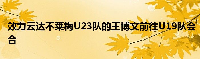 效力云達(dá)不萊梅U23隊的王博文前往U19隊會合