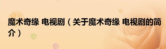 魔術(shù)奇緣 電視劇（關(guān)于魔術(shù)奇緣 電視劇的簡(jiǎn)介）