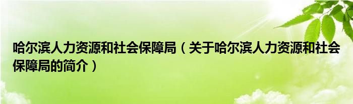 哈爾濱人力資源和社會(huì)保障局（關(guān)于哈爾濱人力資源和社會(huì)保障局的簡(jiǎn)介）