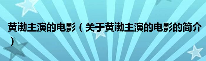 黃渤主演的電影（關(guān)于黃渤主演的電影的簡介）