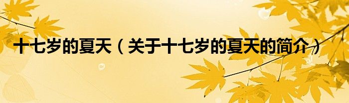 十七歲的夏天（關(guān)于十七歲的夏天的簡介）