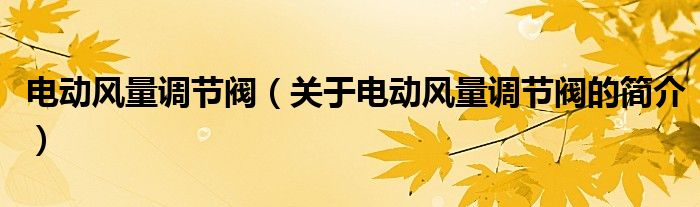 電動風量調(diào)節(jié)閥（關(guān)于電動風量調(diào)節(jié)閥的簡介）