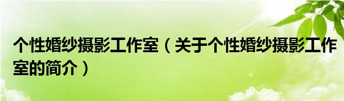 個(gè)性婚紗攝影工作室（關(guān)于個(gè)性婚紗攝影工作室的簡(jiǎn)介）