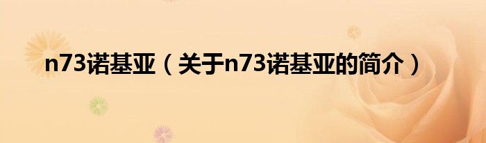 n73諾基亞（關(guān)于n73諾基亞的簡(jiǎn)介）