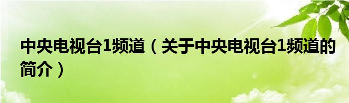 中央電視臺1頻道（關(guān)于中央電視臺1頻道的簡介）