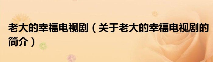 老大的幸福電視?。P(guān)于老大的幸福電視劇的簡介）