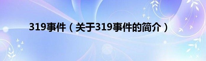 319事件（關于319事件的簡介）