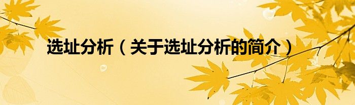 選址分析（關(guān)于選址分析的簡介）