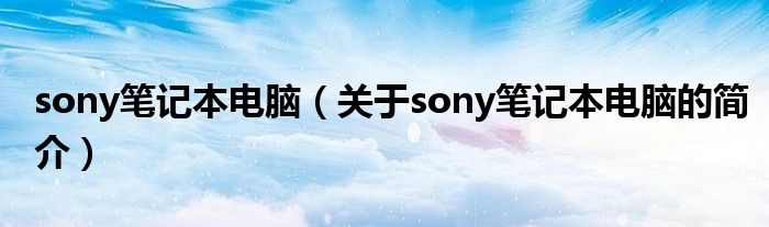 sony筆記本電腦（關(guān)于sony筆記本電腦的簡(jiǎn)介）