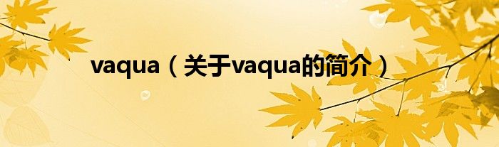 vaqua（關于vaqua的簡介）