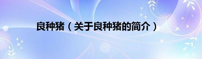 良種豬（關(guān)于良種豬的簡(jiǎn)介）