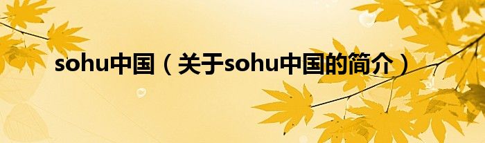 sohu中國（關于sohu中國的簡介）