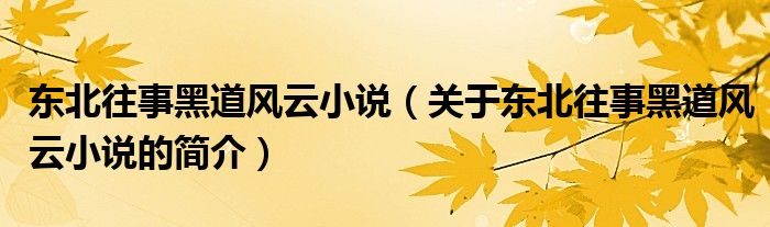 東北往事黑道風云小說（關于東北往事黑道風云小說的簡介）