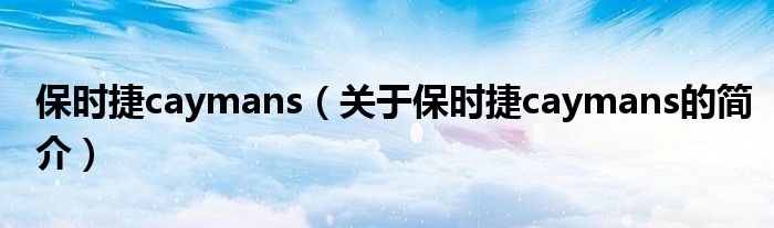 保時捷caymans（關于保時捷caymans的簡介）