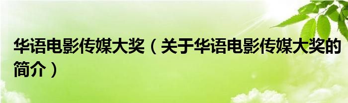 華語電影傳媒大獎（關于華語電影傳媒大獎的簡介）