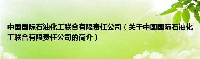 中國國際石油化工聯(lián)合有限責(zé)任公司（關(guān)于中國國際石油化工聯(lián)合有限責(zé)任公司的簡介）