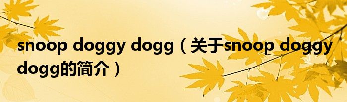 snoop doggy dogg（關(guān)于snoop doggy dogg的簡(jiǎn)介）