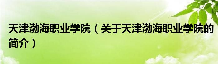 天津渤海職業(yè)學(xué)院（關(guān)于天津渤海職業(yè)學(xué)院的簡(jiǎn)介）