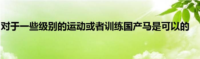 對于一些級別的運動或者訓練國產(chǎn)馬是可以的