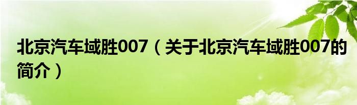 北京汽車(chē)域勝007（關(guān)于北京汽車(chē)域勝007的簡(jiǎn)介）