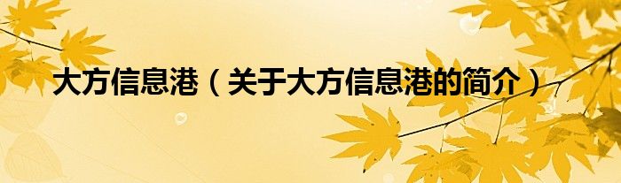 大方信息港（關(guān)于大方信息港的簡(jiǎn)介）