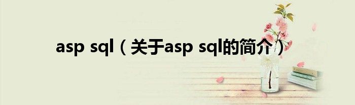 asp sql（關(guān)于asp sql的簡(jiǎn)介）