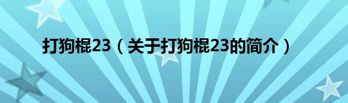 打狗棍23（關(guān)于打狗棍23的簡(jiǎn)介）