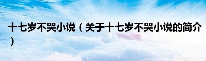 十七歲不哭小說(shuō)（關(guān)于十七歲不哭小說(shuō)的簡(jiǎn)介）